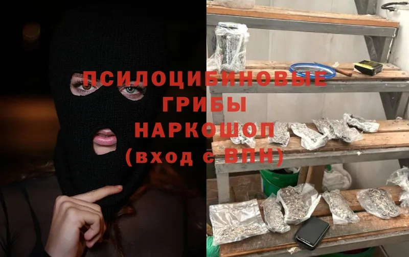 Где купить Володарск A PVP  МЕГА зеркало  Гашиш  НБОМе  Cocaine  Галлюциногенные грибы  Меф 